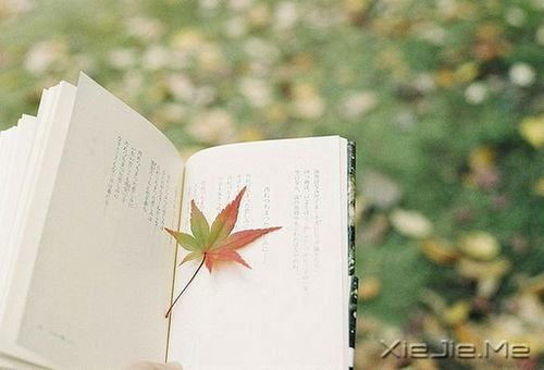 早安心语：总有许多事，需要一个人扛 (2)