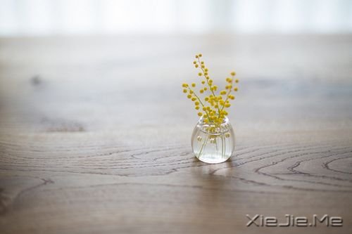 早安心语：总有许多事，需要一个人扛 (4)